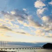 みー。