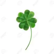 clover