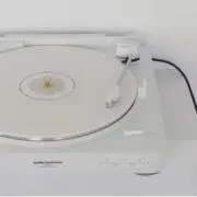 もも     《即購入⭕️ 》の画像