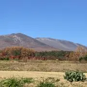 ぽけ