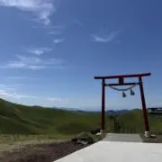 イップマンの画像