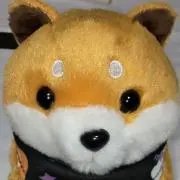 たろうちゃんの画像