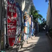 ジョニ男の画像