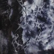 geの画像