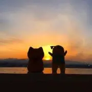 マッコウクジラ