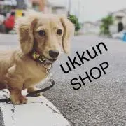 ukkun shop
