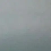メメの画像