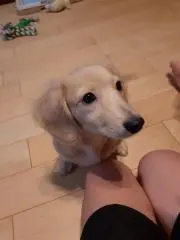 naaの画像
