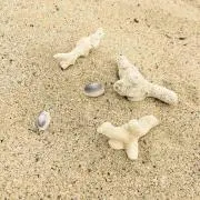 ｕｍｉの画像