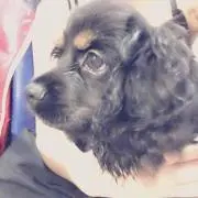 たいちゃん