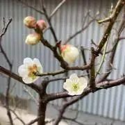 まぁ。プロフ確認お願いします。の画像