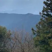 ゆーの画像