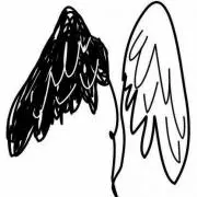 ネコ★自己紹介読んで下さい。の画像