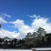 じぇじぇじぇの画像