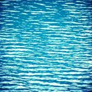 メリーの画像