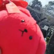 のぞむん♪