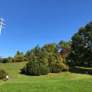 ようの画像