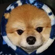ミルク