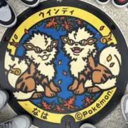 TEIOの画像