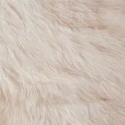 ぴよぴよ