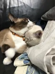まなみ