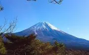 Seachompooの画像