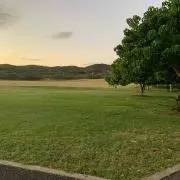 hiyoの画像