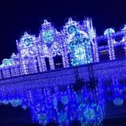 みのむしの画像