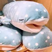 MI（プロフィール必読）の画像