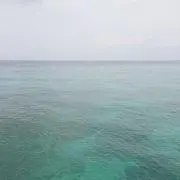 じょんよーこ