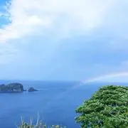yoyoyoの画像