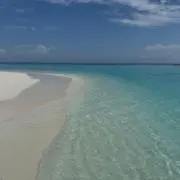 mokoの画像