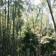 kの画像
