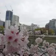 おかゆの画像