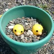 にこにこKの画像