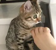 めいちゃん