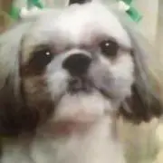 茶太ままの画像