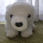 かるたんの画像