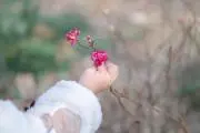 mimoの画像