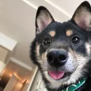 あきの画像
