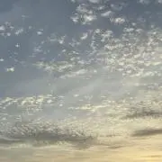 ゆあの画像