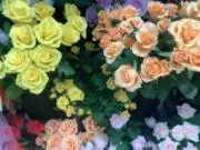 ちゃちゃFlowrの画像