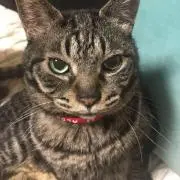 KIMiの画像