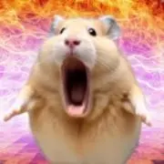 ぴっぴの画像
