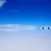 魚