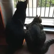 ひさむ