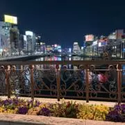 ゆきの画像