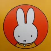 ⭐ミッフィー⭐の画像