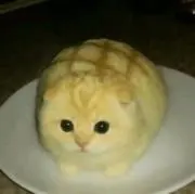 *bb@無言取引の画像