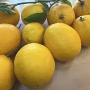 のんある気分の画像